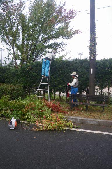 volunteer_20161122-05.jpg