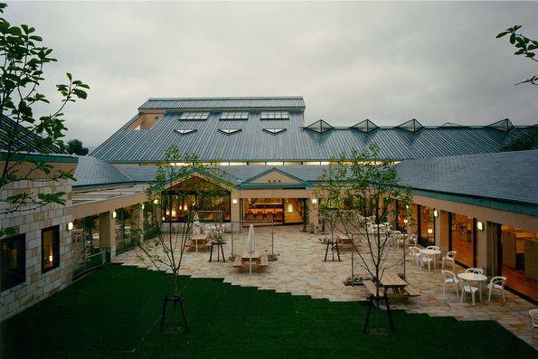 03_library-tm01.jpg