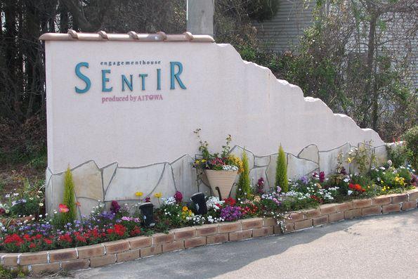 09_sentir-tm04.jpg